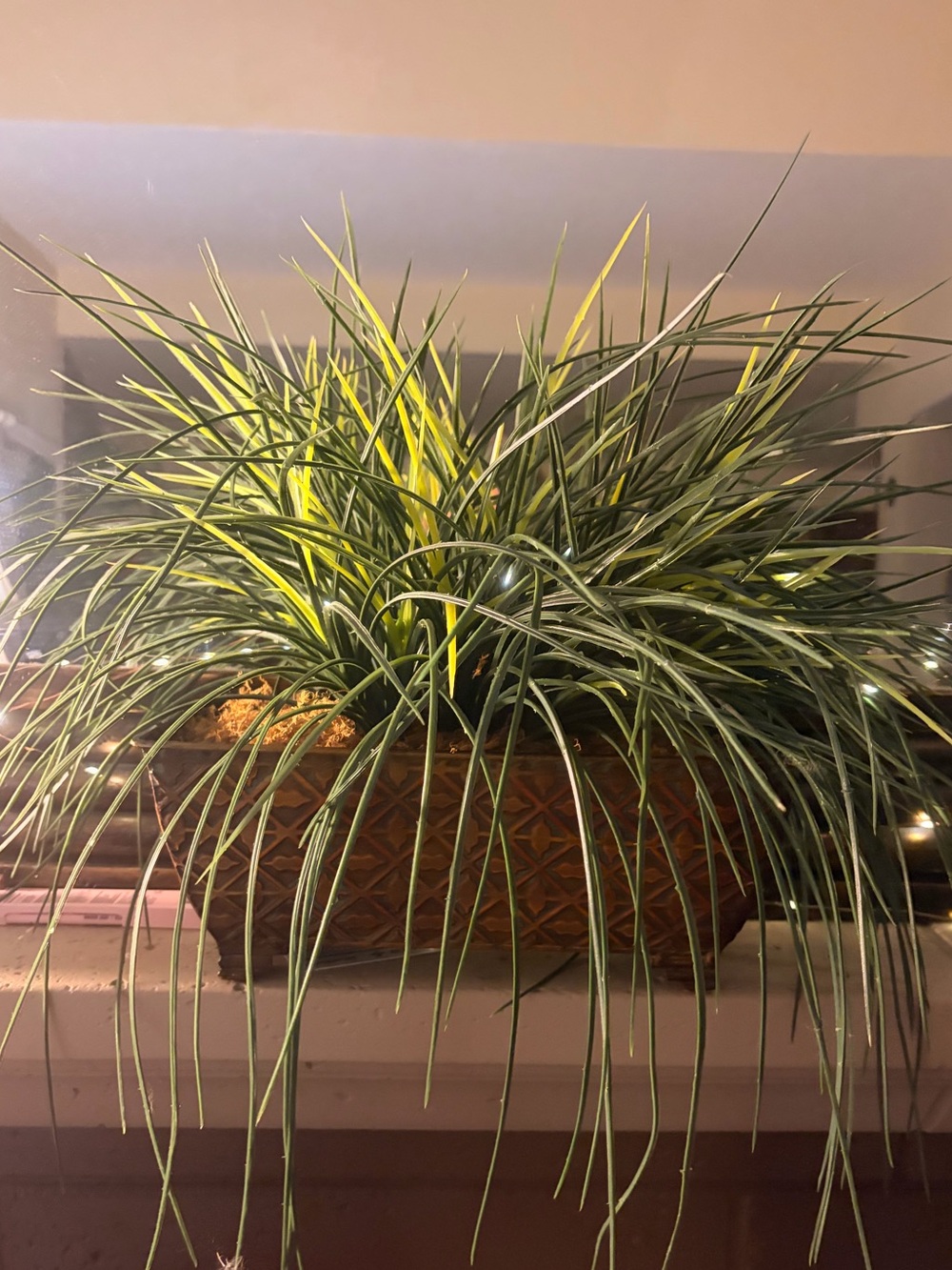 🍃Decorative Green and Yellow Grass Planter